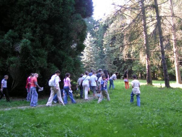 pict3741 (web)